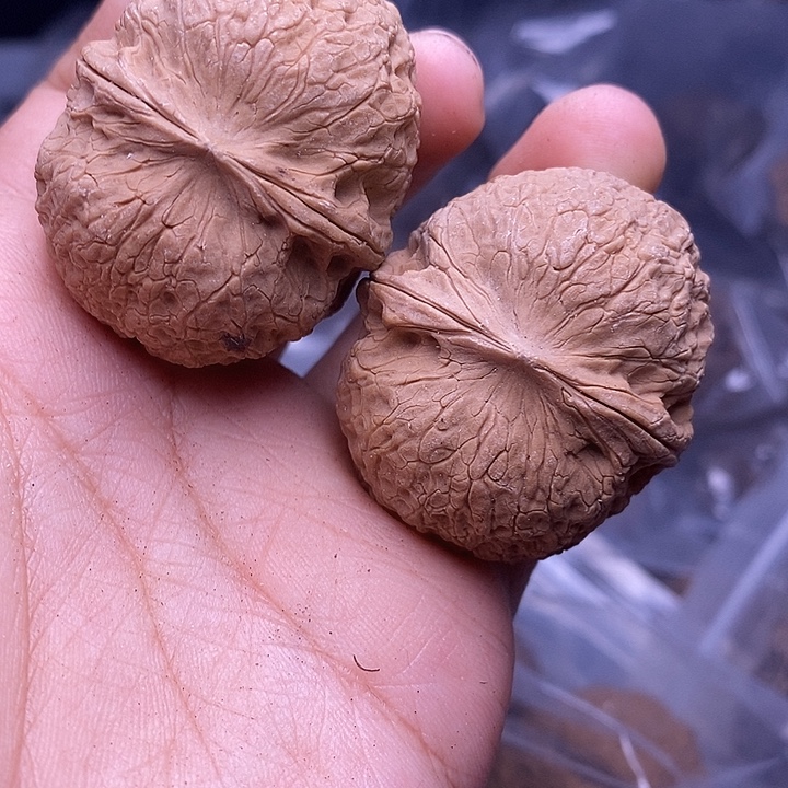 文玩核桃把件   210