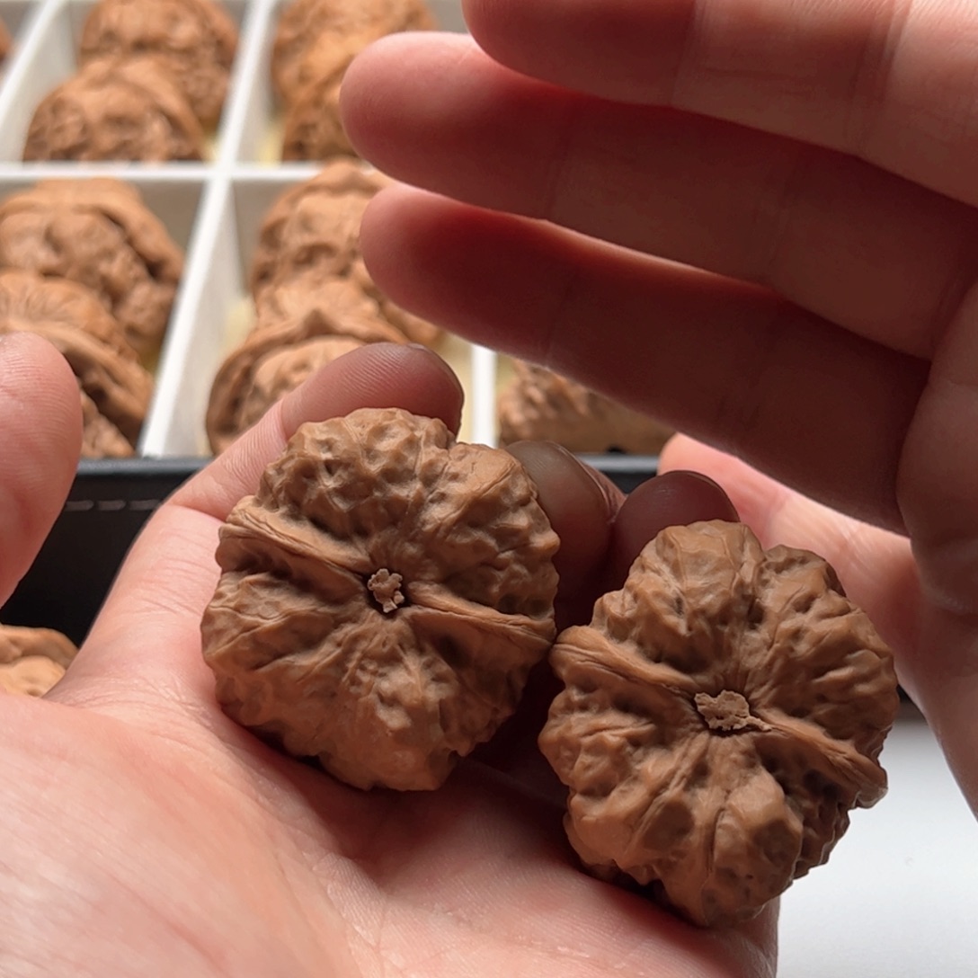 核桃把件晒*阳延庆蛤蟆头