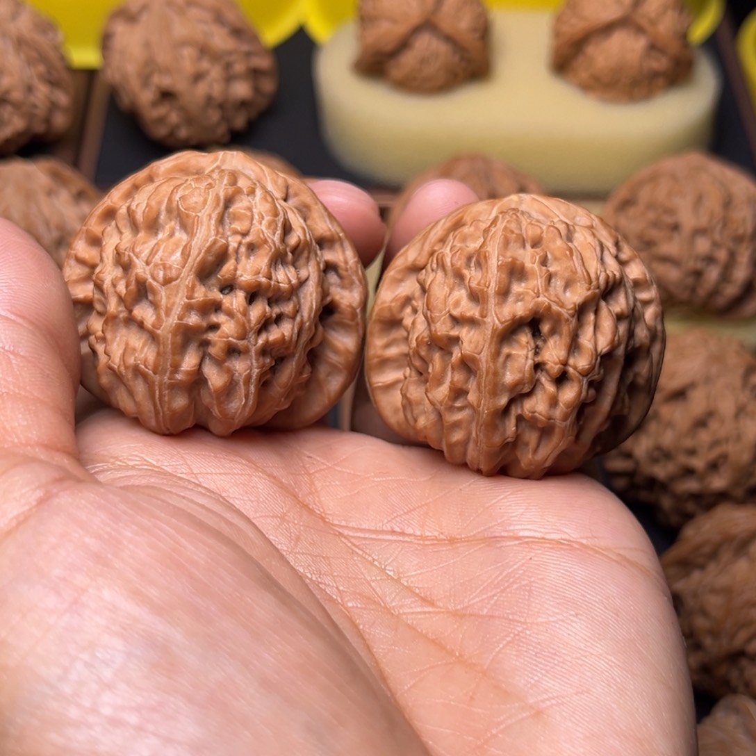 诚***鱼文玩核桃把件白狮子41左右