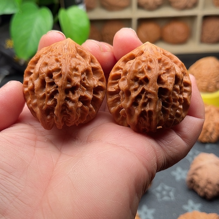 把件文玩核桃曹大龙边41