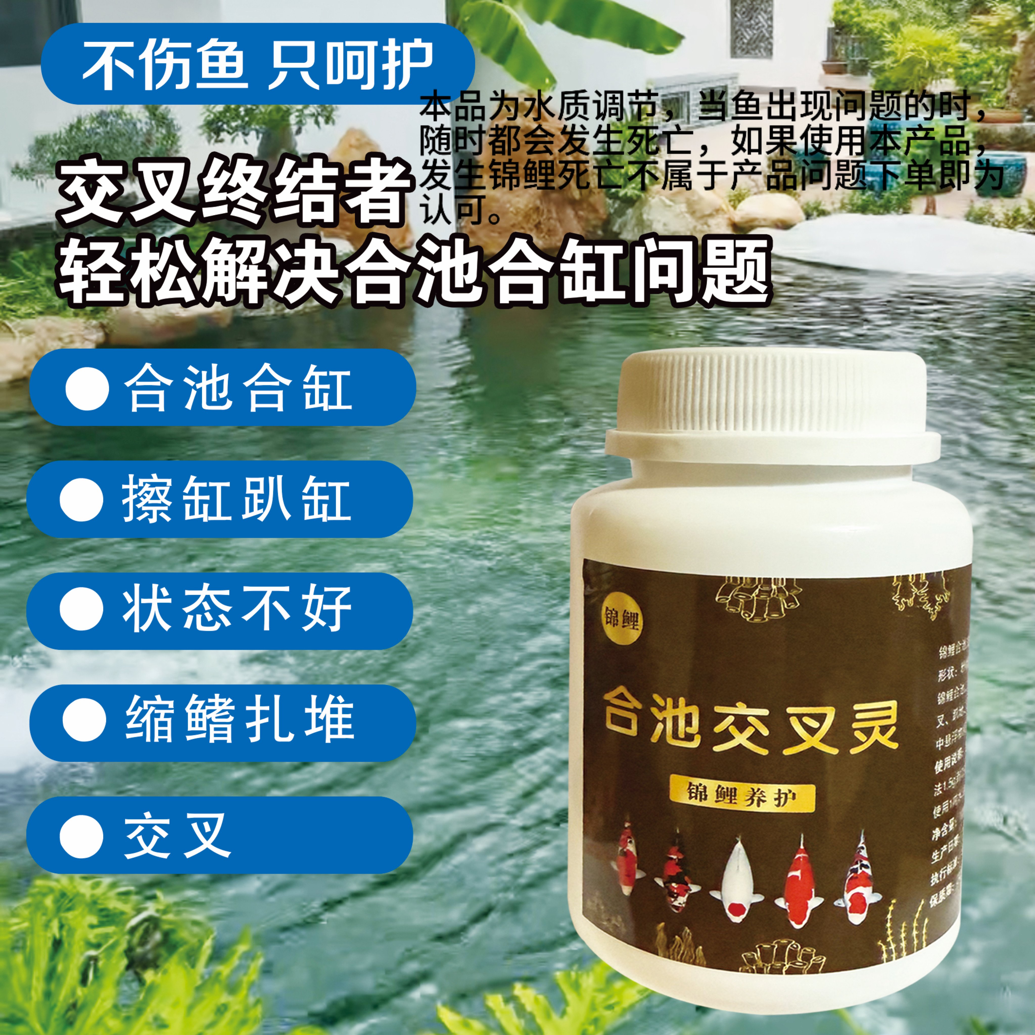 合池交叉灵鱼缸鱼池交叉，和鱼，和缸，水质改良爬港减少水中悬浮物