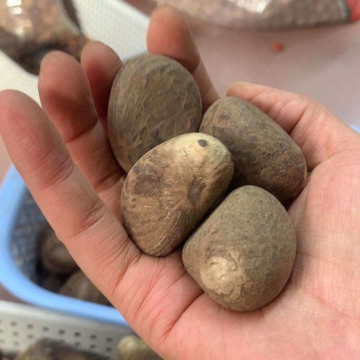 瑾***若吊坠千眼菩提象牙果菩提