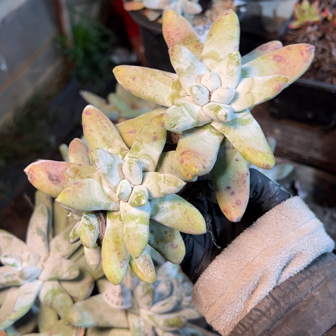 8454哈哈哈哈哈哈哈哈