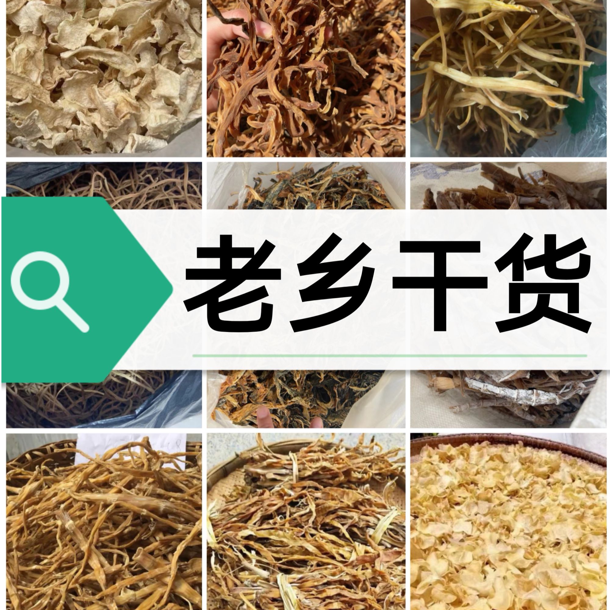 神农架老乡神农香菊【阿凯代卖】