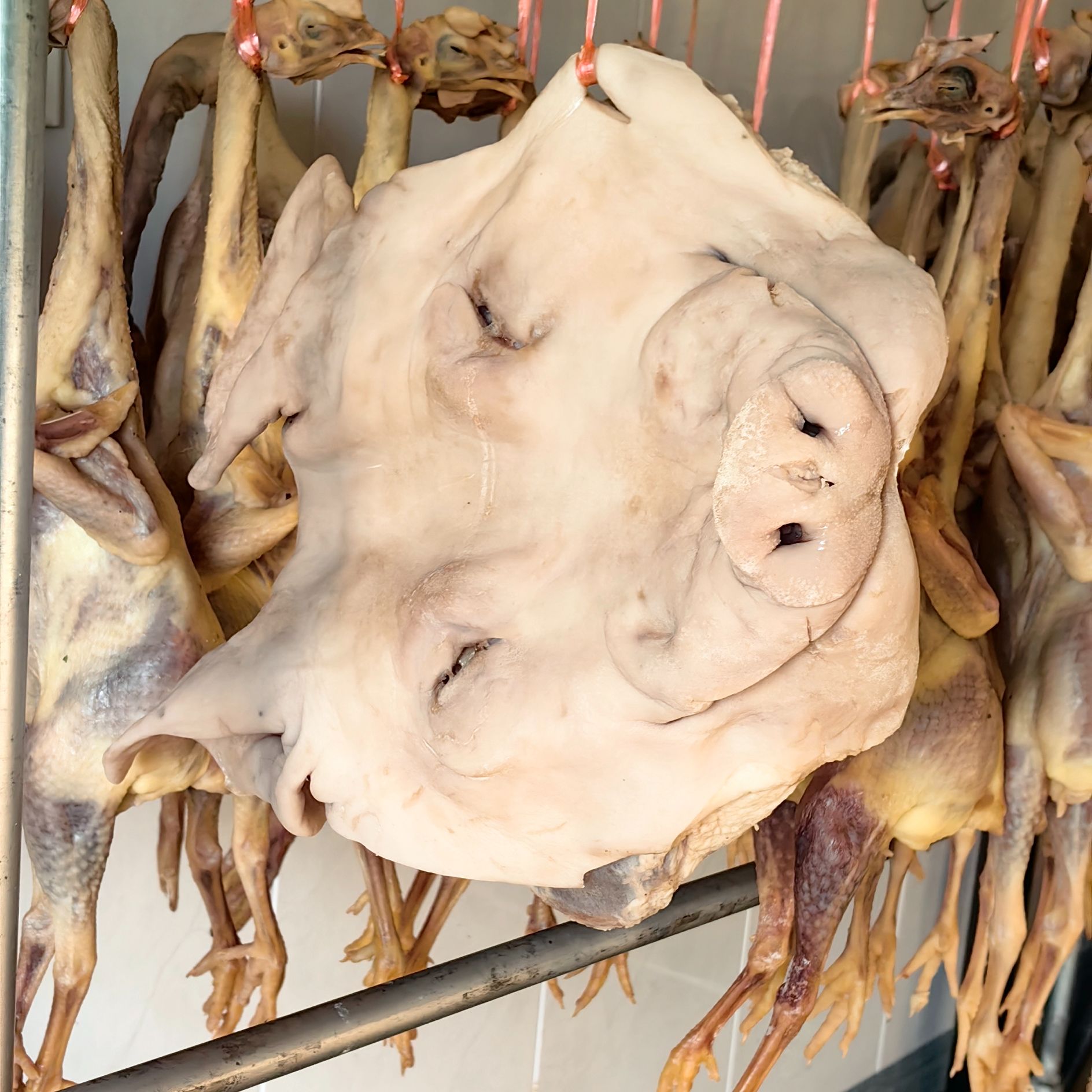 纯手工腌制土猪头