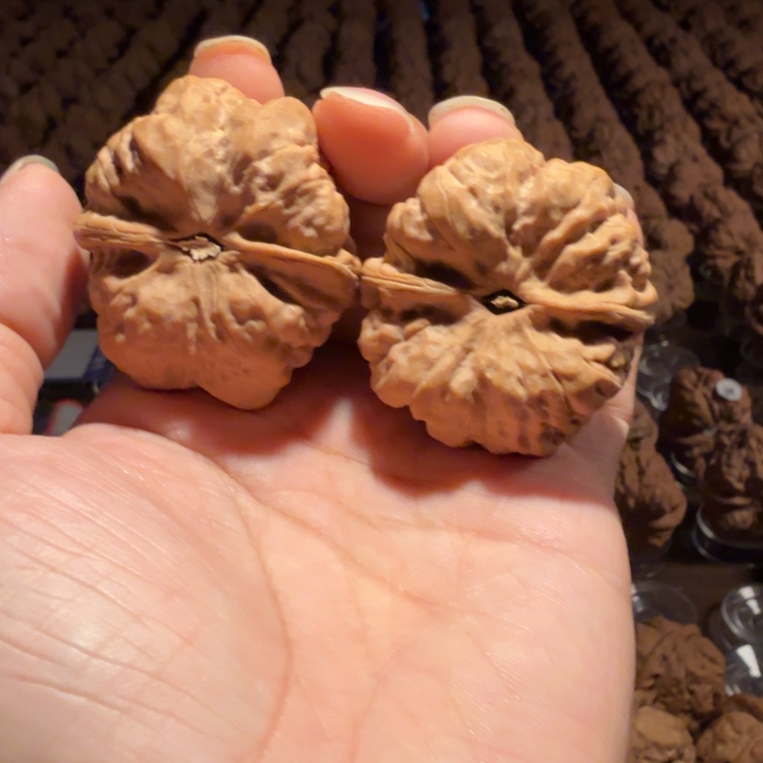 尚***鱼把件文玩核桃蛤蟆的眼睛是真的好看