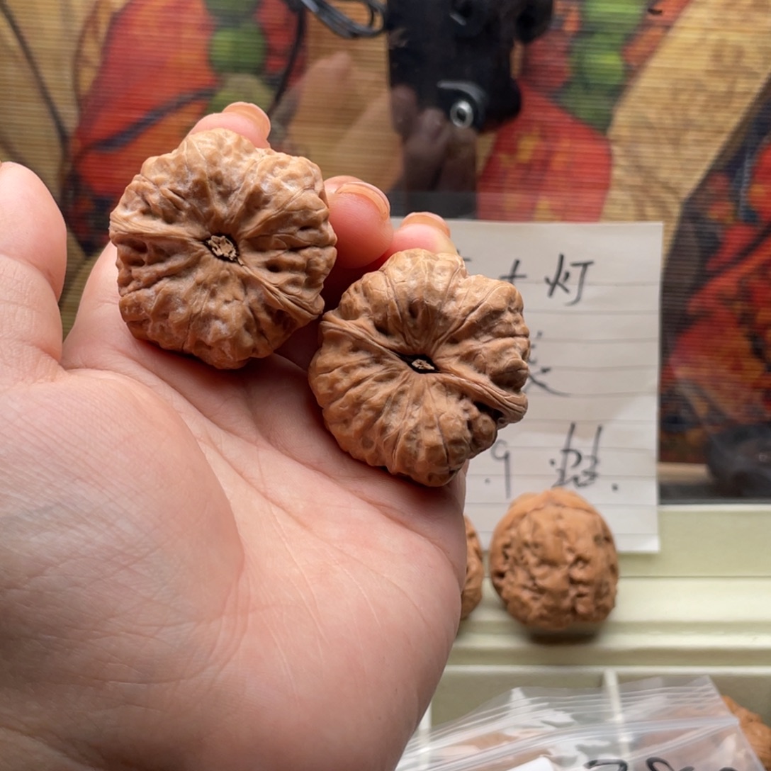 木质类1040蛙蛙蛙