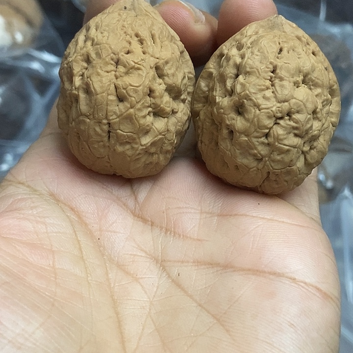 把件文玩核桃云南铁核桃基地5