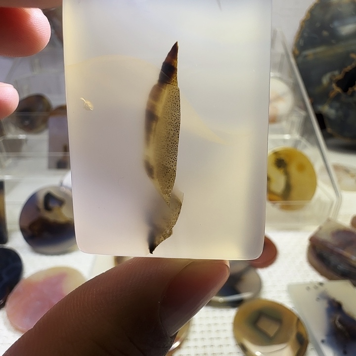 玛瑙/玉髓未镶嵌珠宝奇石