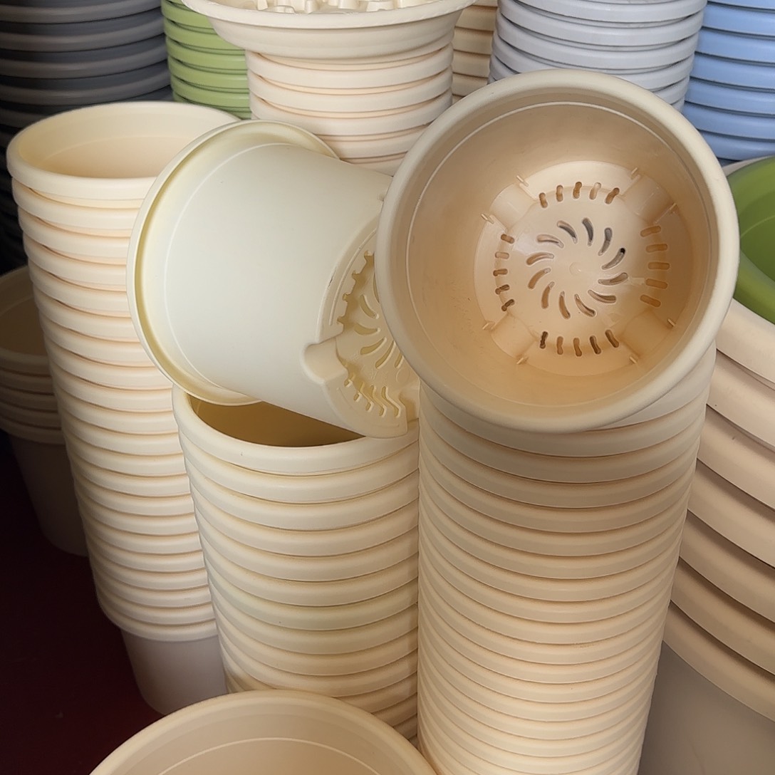 树脂四季2号无托12个米黄微瑕