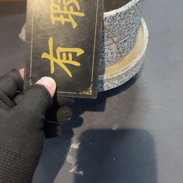 瓷片乐**家拾六家的瓷器瓷器