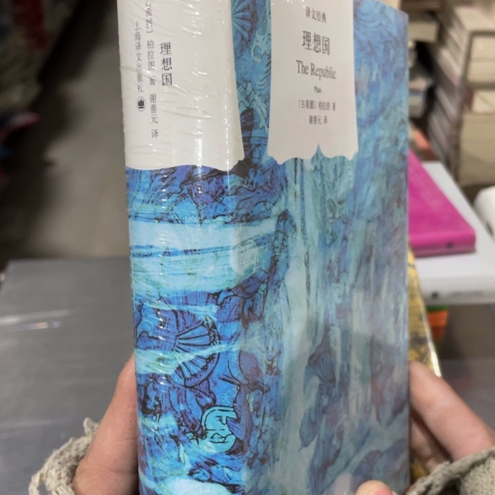 理想国正版塑封书籍