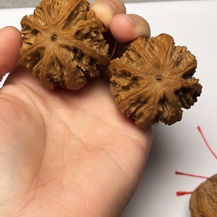 彬***秦岭文玩核桃核桃