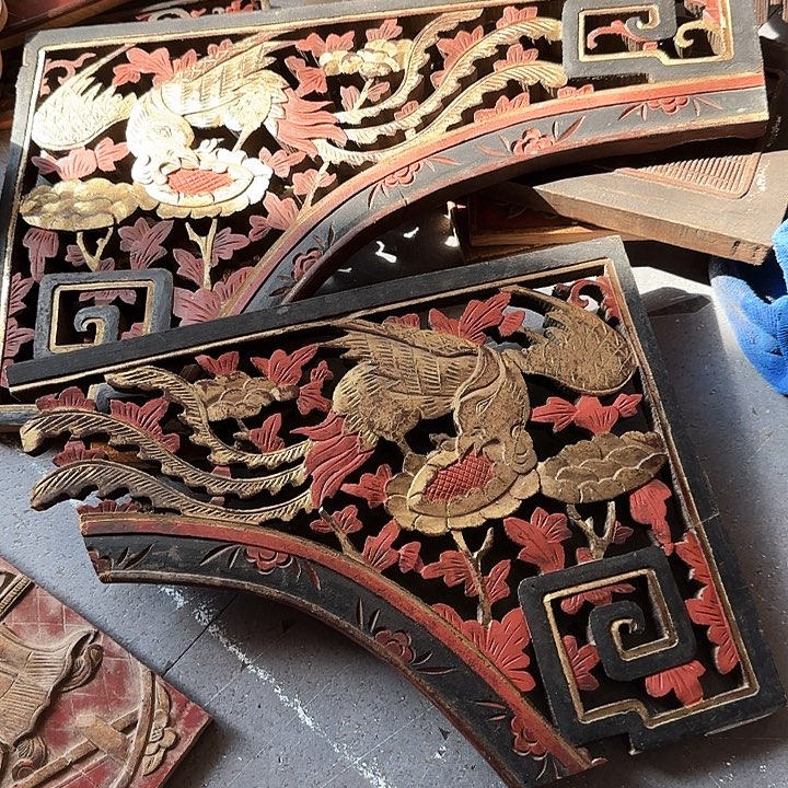 大果紫檀（缅甸花梨）b****鸟