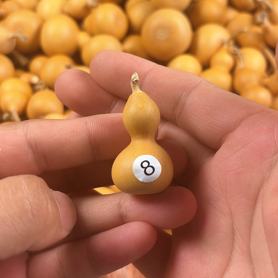 一葫芦葫芦葫芦葫芦葫芦8