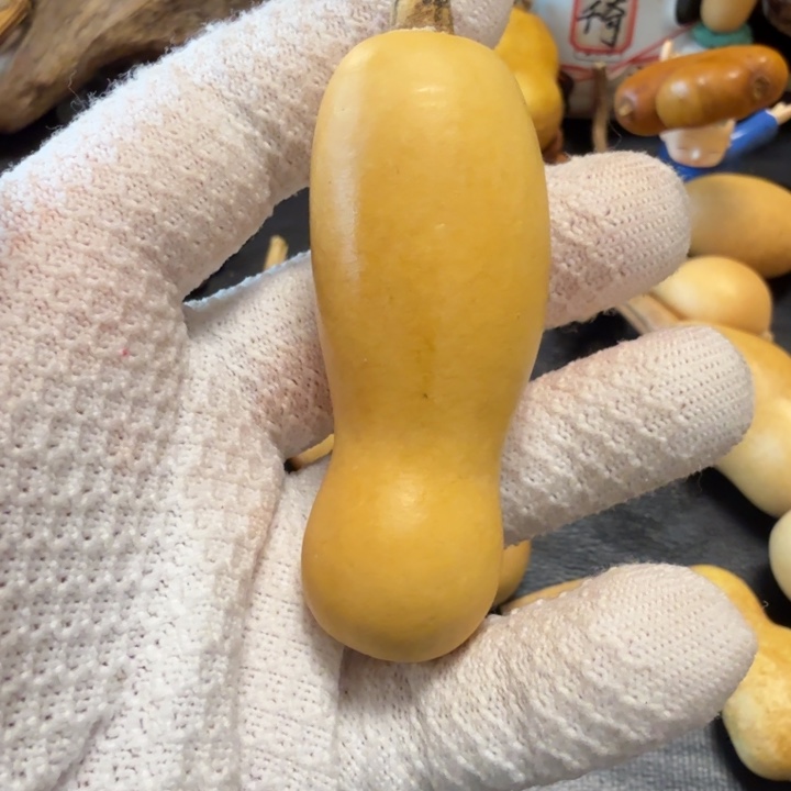 璞***緣6666666666666666667