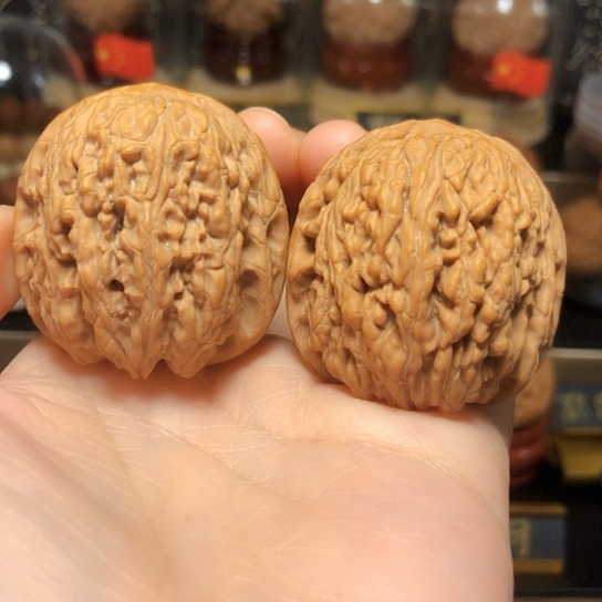 原生态：滚石（收藏级）