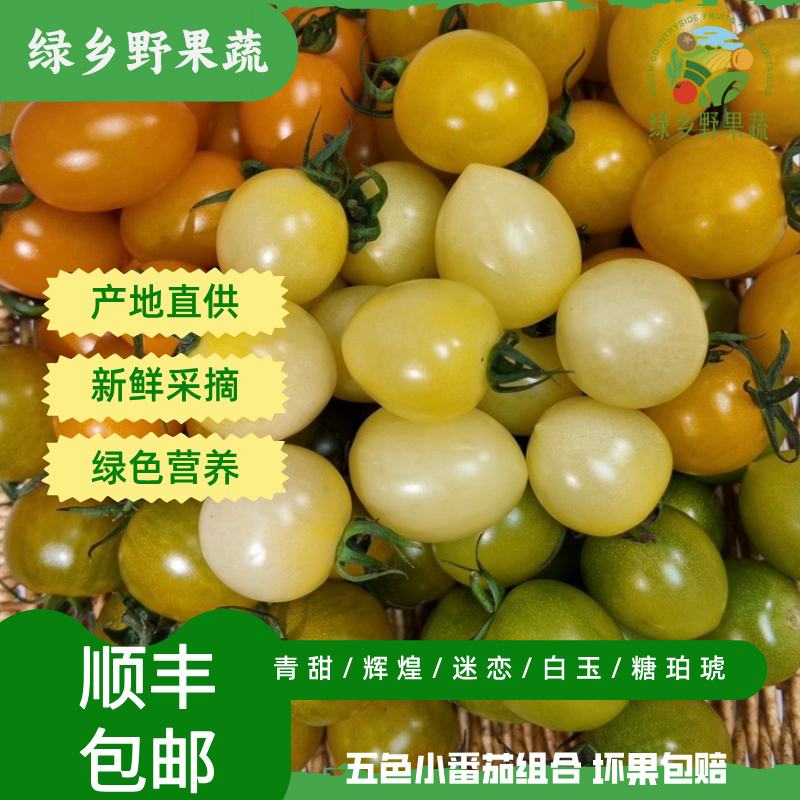 【顺丰包邮】五彩小番茄圣女果优选好口感山东寿光产地直发【1-5斤】