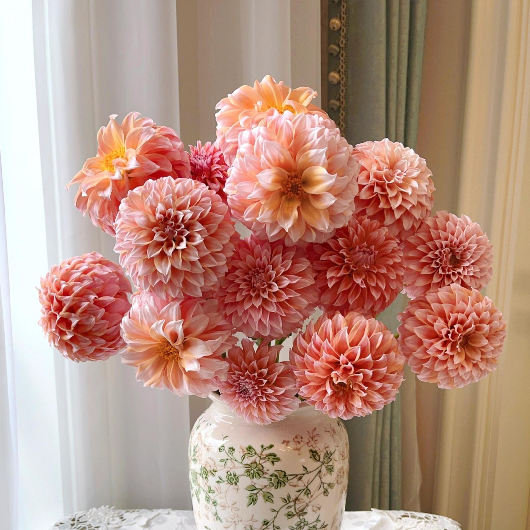 顺丰次日达【 A级奶油桃子大丽花 5支 】大富大贵 今日下单明日到达 （两单顺丰包邮）