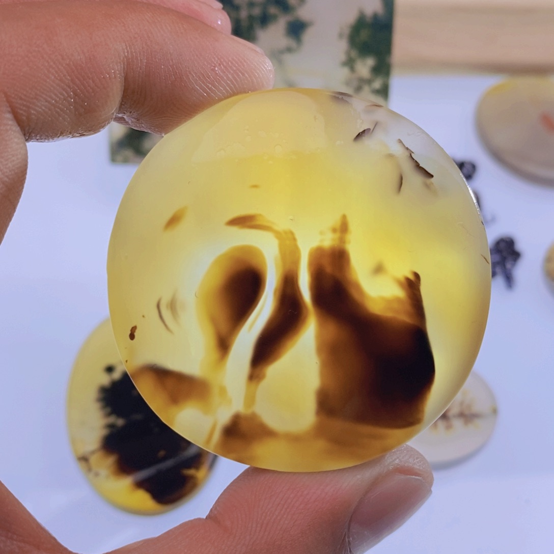 玛瑙/玉髓颈饰未镶嵌