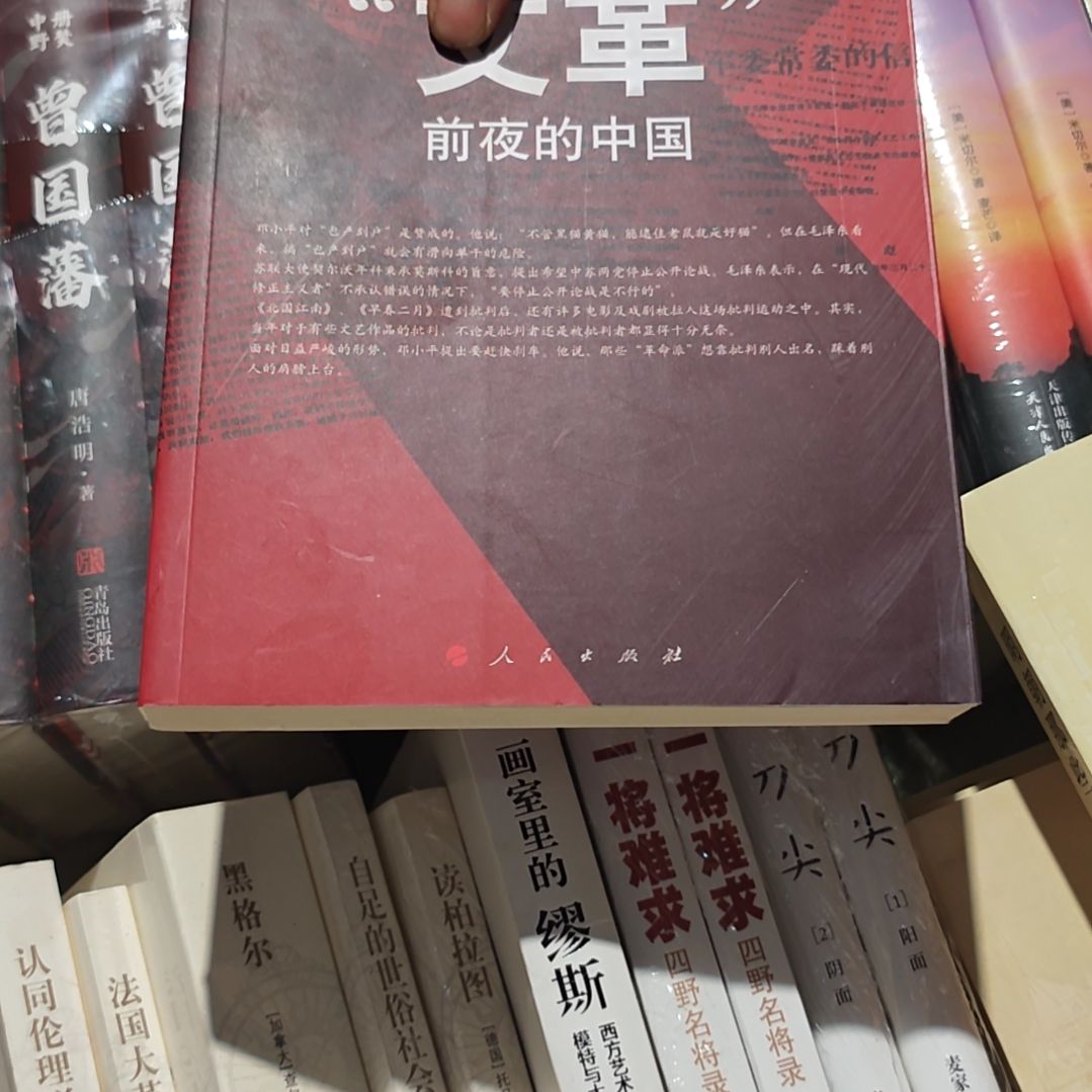 文什么什么什么中国库存书