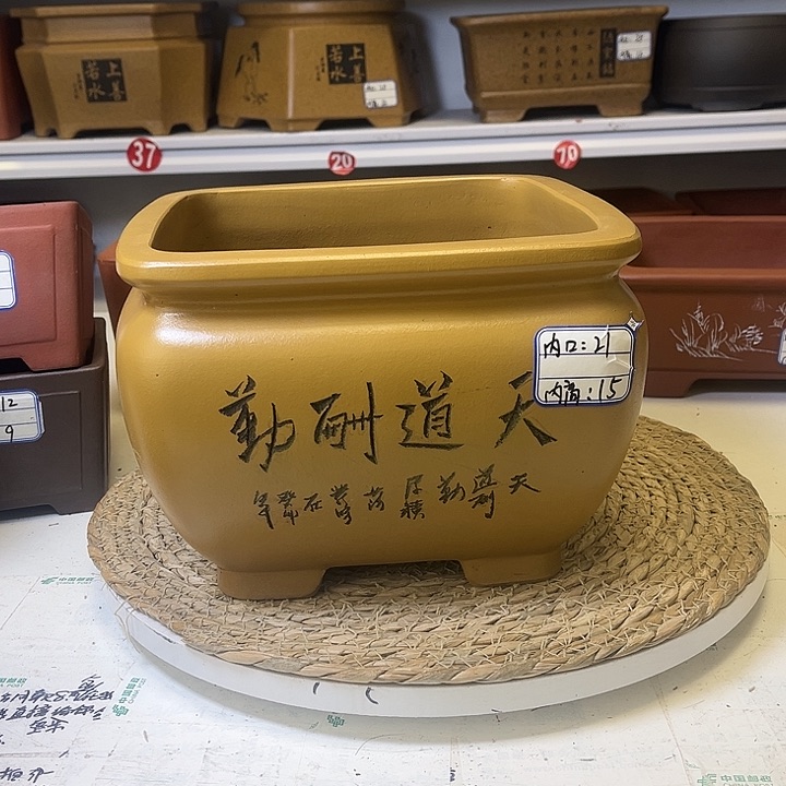 紫砂花盆紫砂艺术