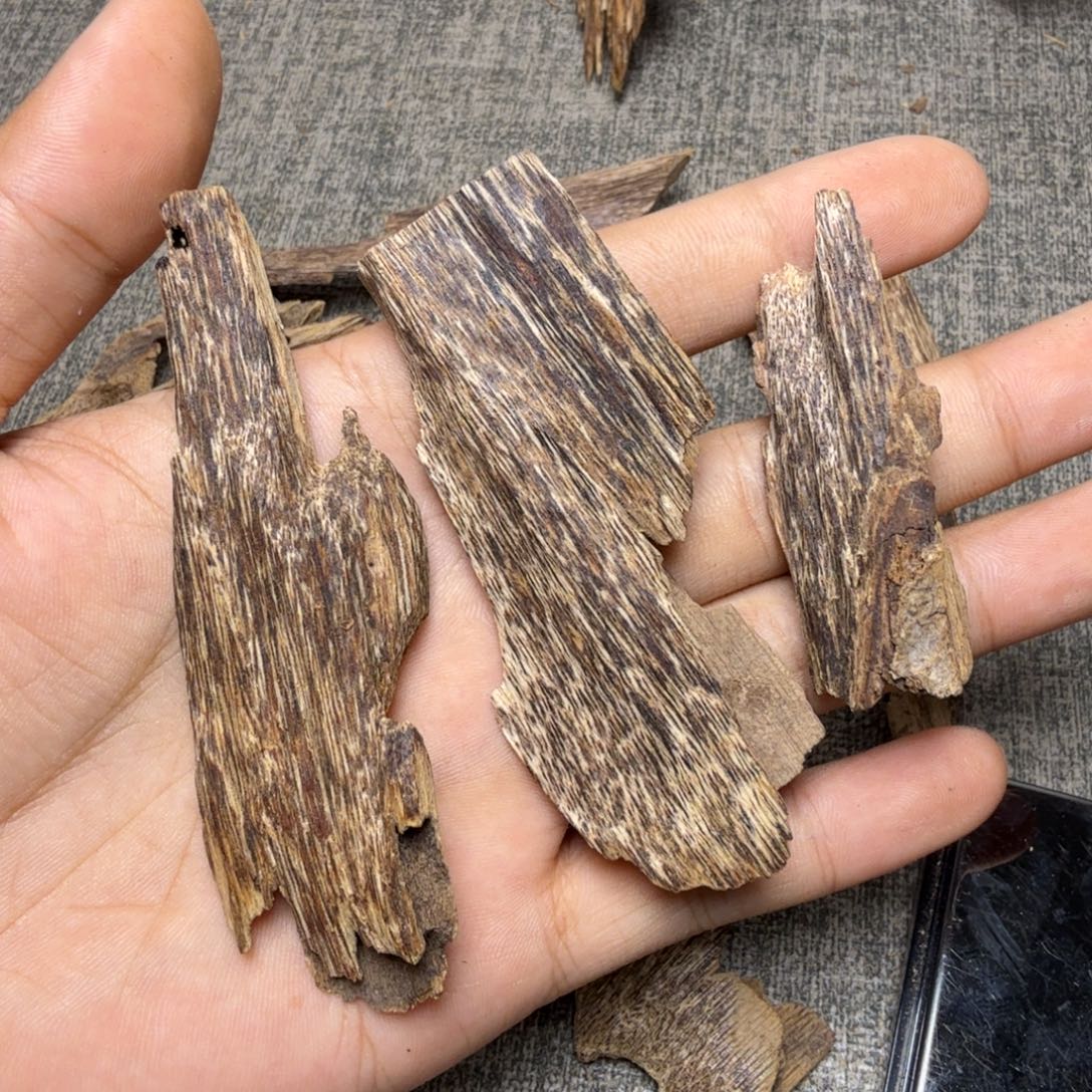 香榧木五指山虫漏10克