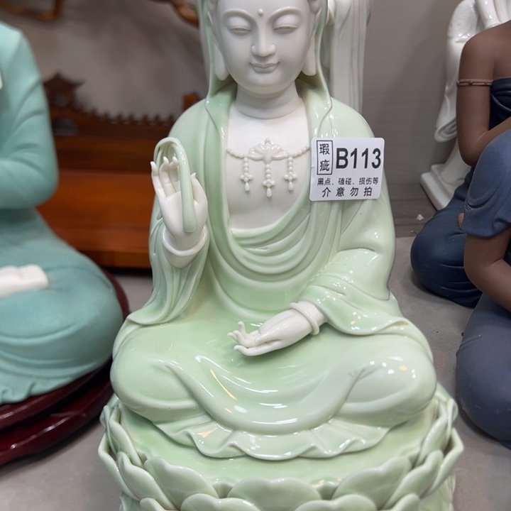 底槽青茶宠88888888888888