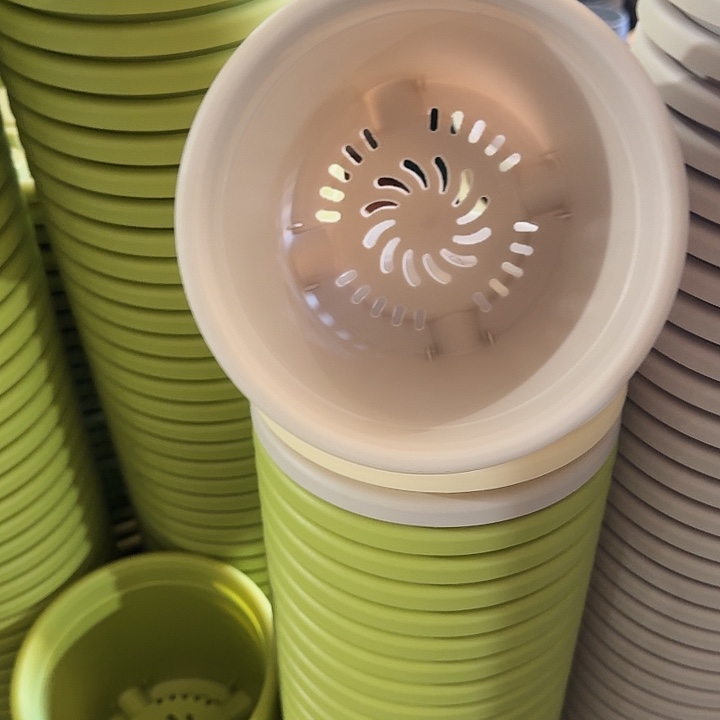 四季2号灰白无托10个