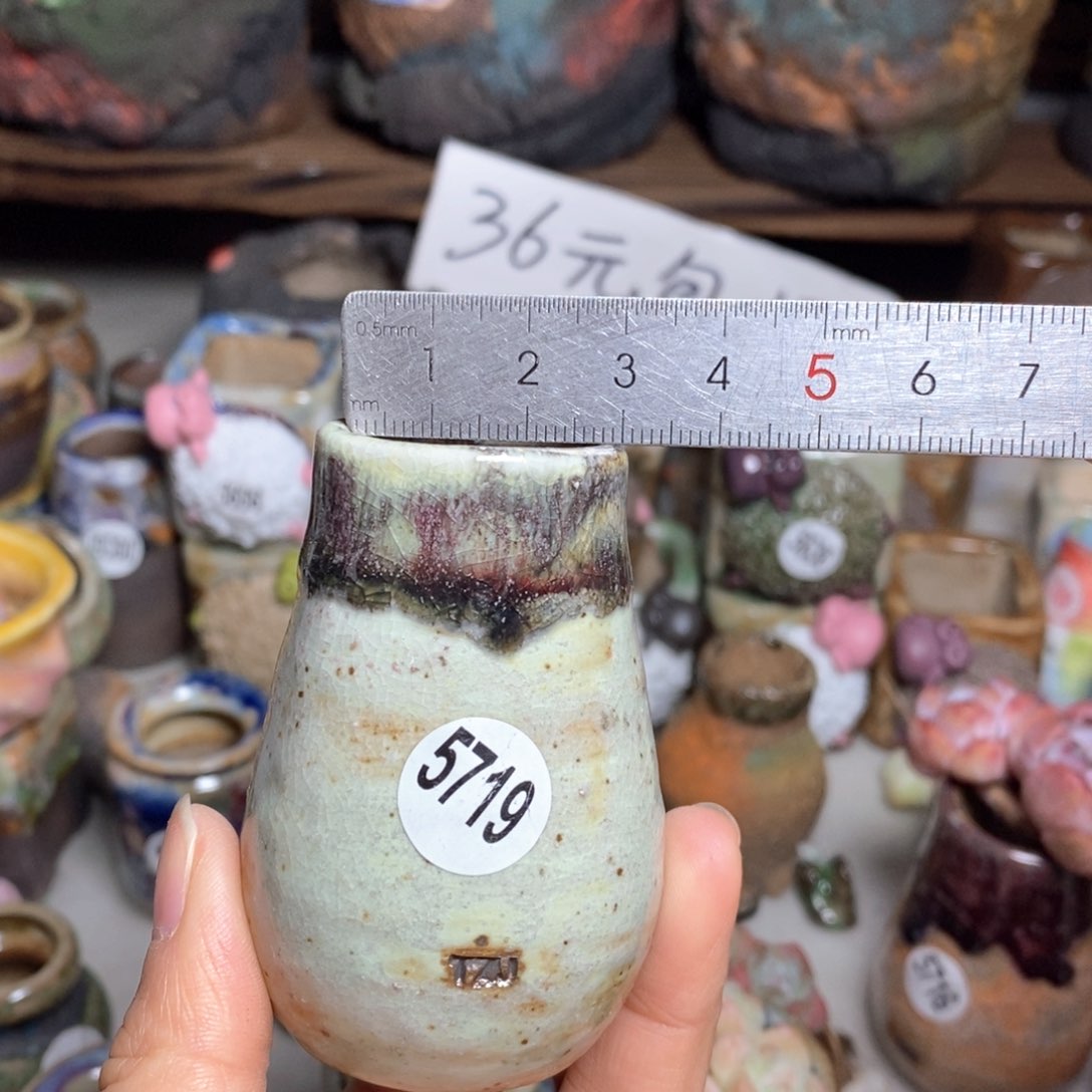 拍5送一个小礼物