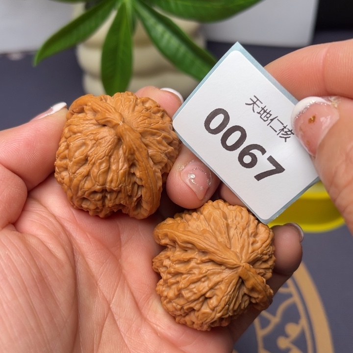 文玩核桃把件41三角白67