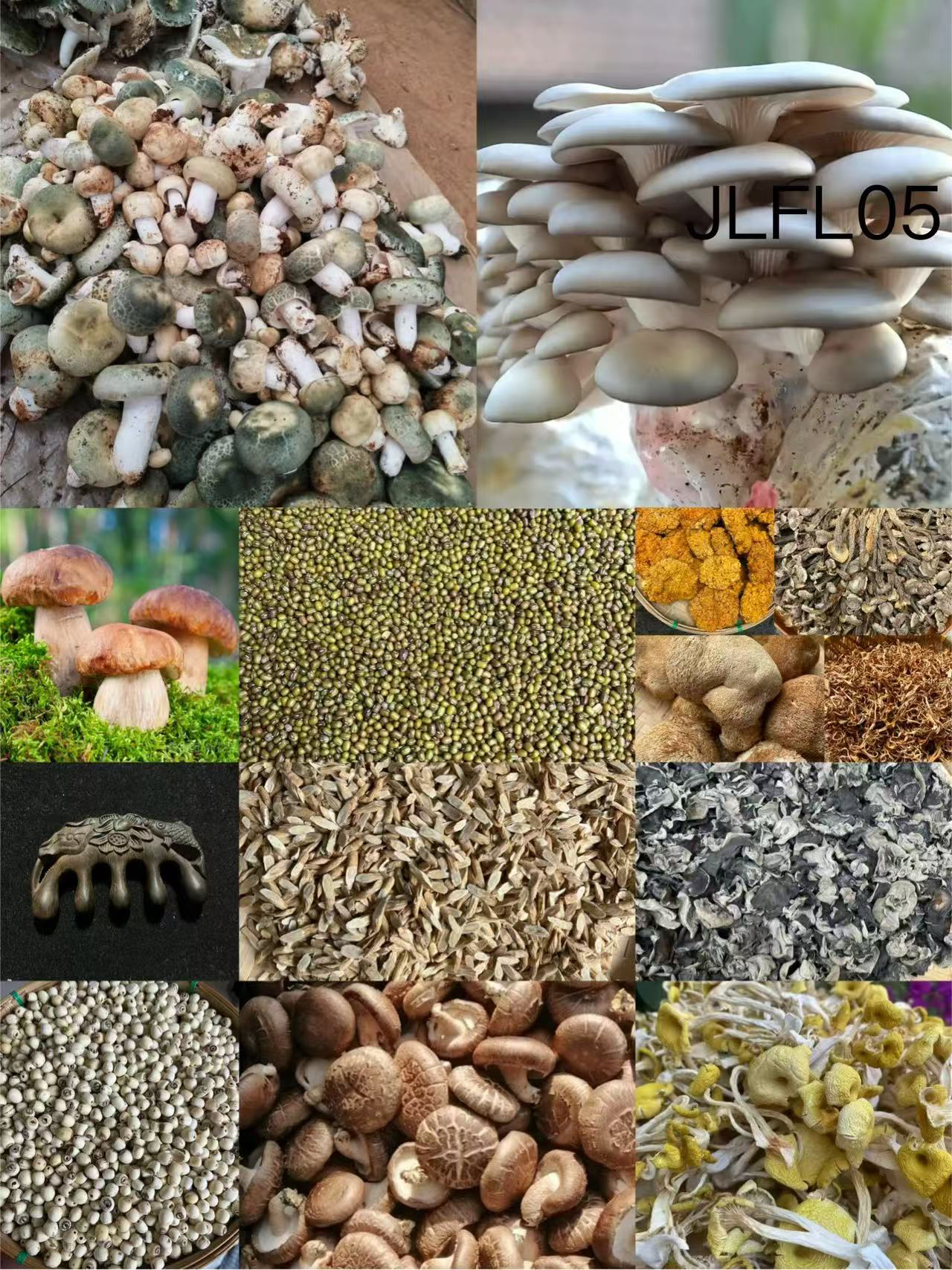 【孙哥专属土特产JL-FL05】多样性发货 重量48克