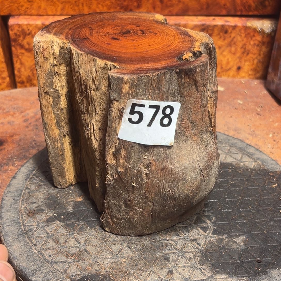 大果紫檀（缅甸花梨）