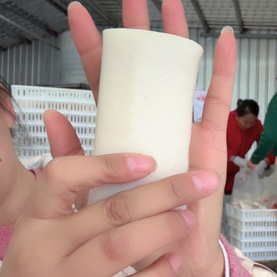 3中国大陆小作坊制售