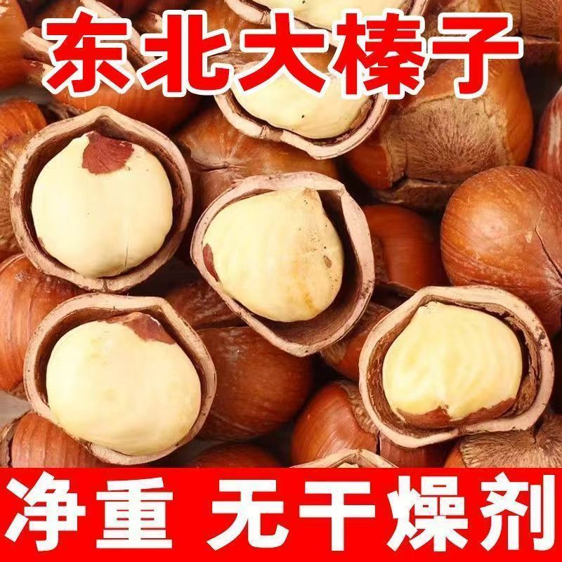 东北炒熟达维大果榛子薄皮仁满酥脆香甜