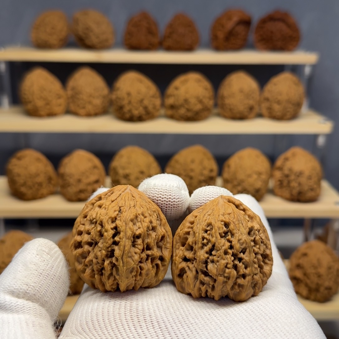 【闪购商品】吴*生黄金甲