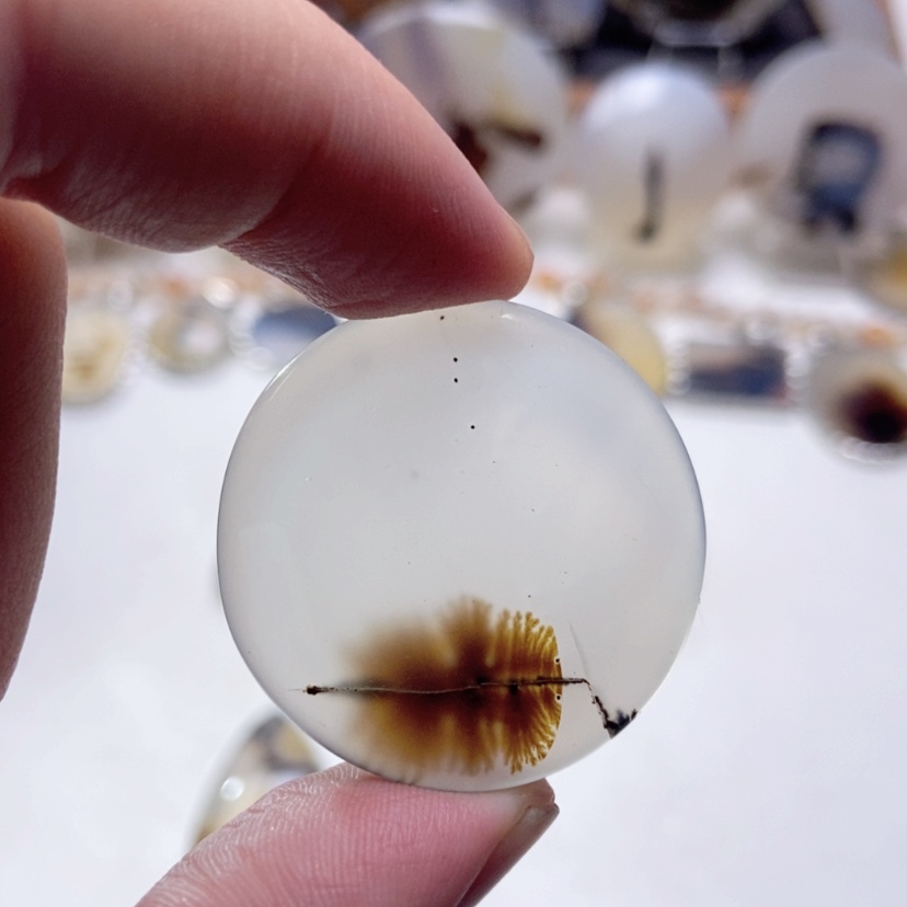 【闪购商品】玛瑙/玉髓颈饰未镶嵌