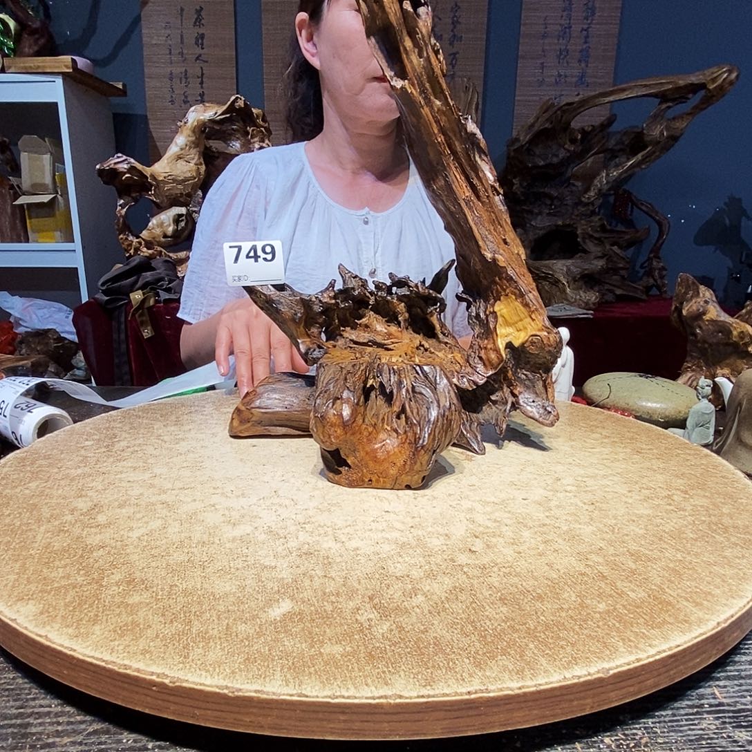如***天749。株木随行根艺