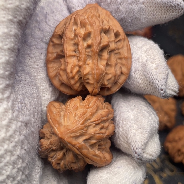 ****o核桃34尺秦岭野生蛤蟆鸡