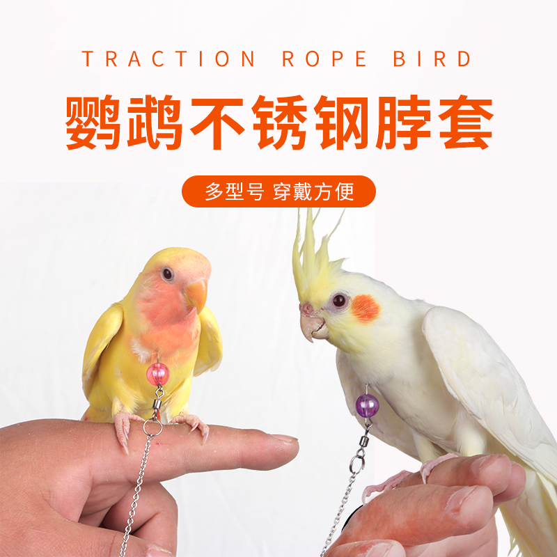 小型玄凤虎皮牡丹鹦鹉鸟脖套链子放飞绳铃铛不锈钢遛鸟活训练脖圈