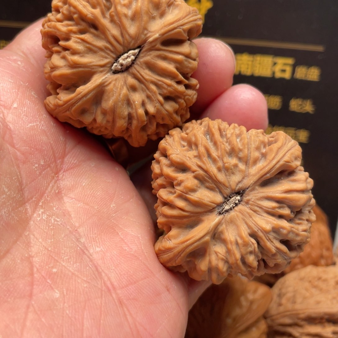 文玩核桃把件T****k44尺南疆石