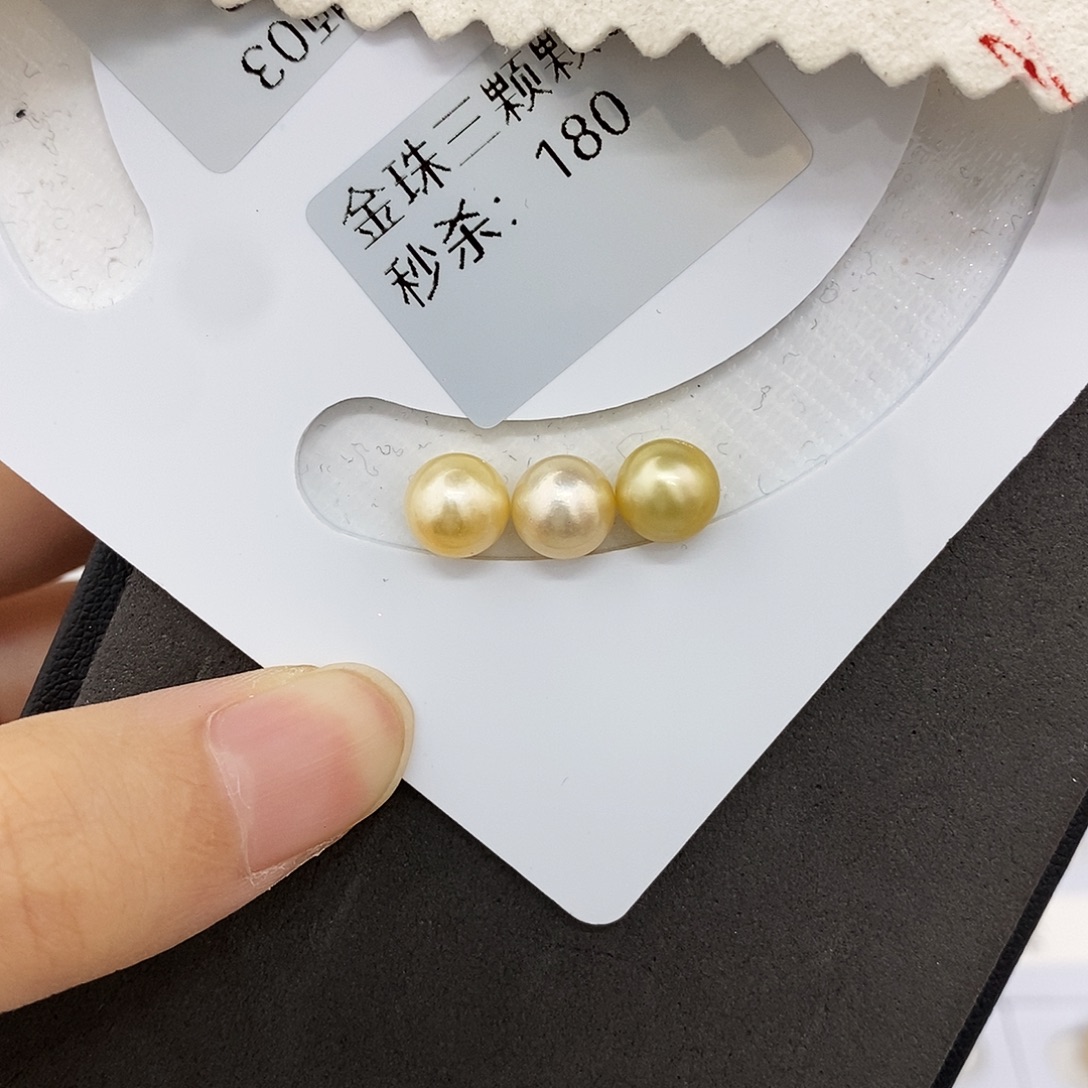陈***薇海水珍珠耳饰未镶嵌金珠三颗（无鉴赏）