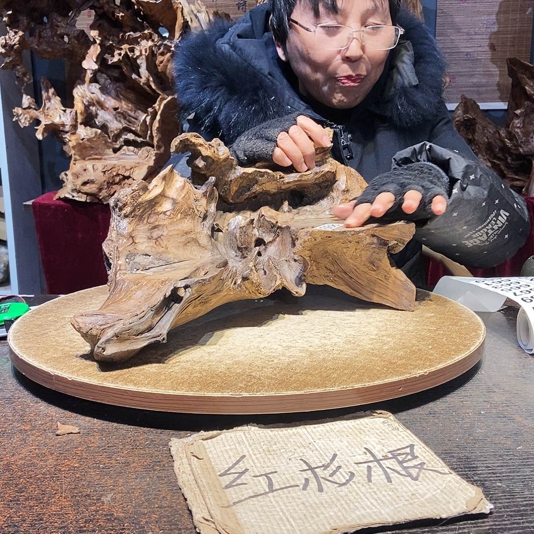 青***志658。株木随行根艺