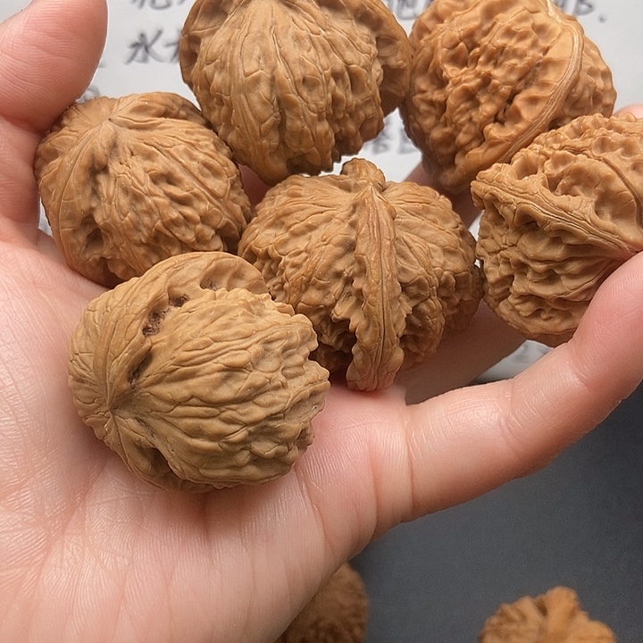 无***限大大大大大大大官帽