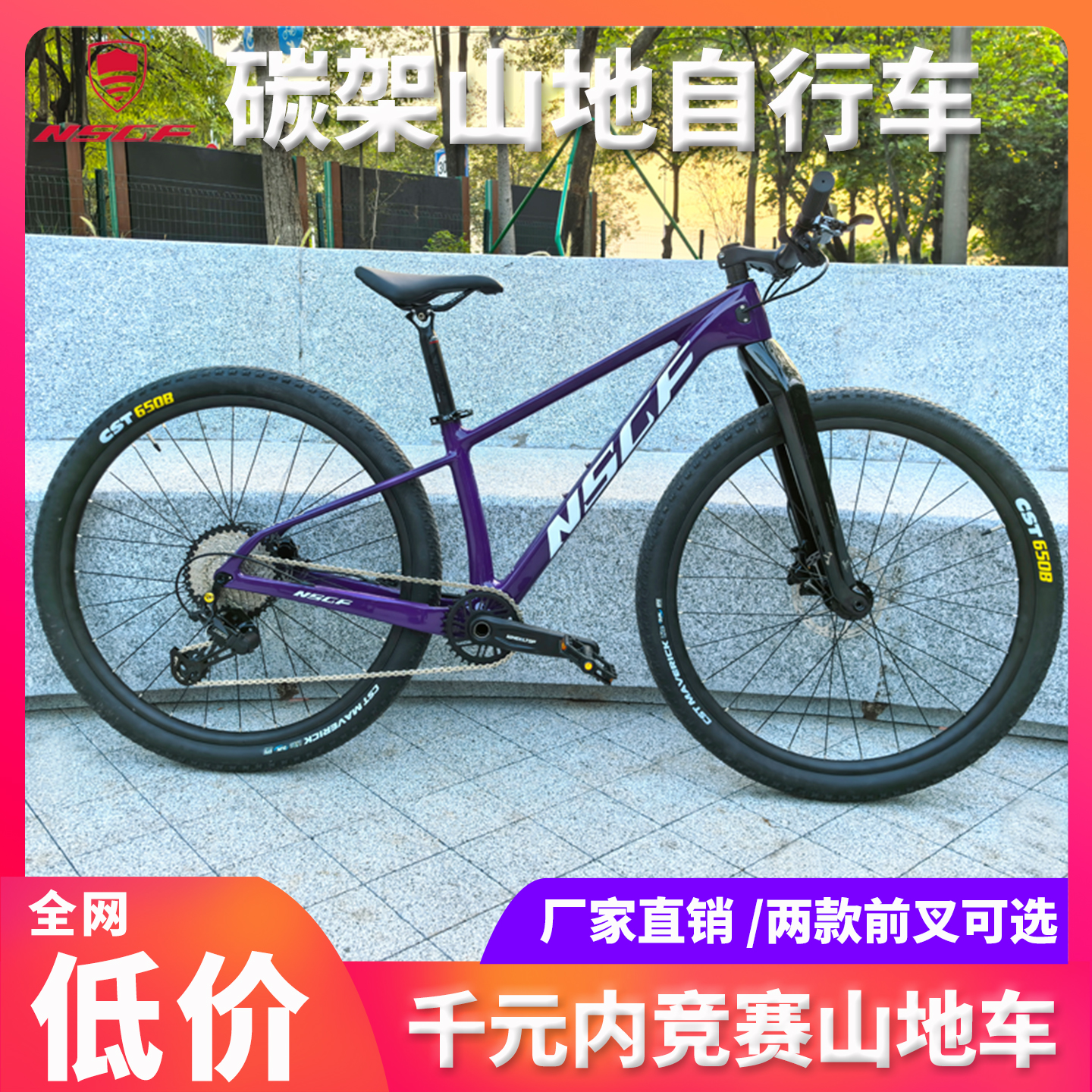 新秀新款碳纤维竞赛级山地车单盘11速男女式山地自行车越野竞技