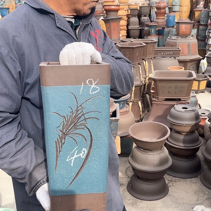 紫砂紫砂花盆和花盆里