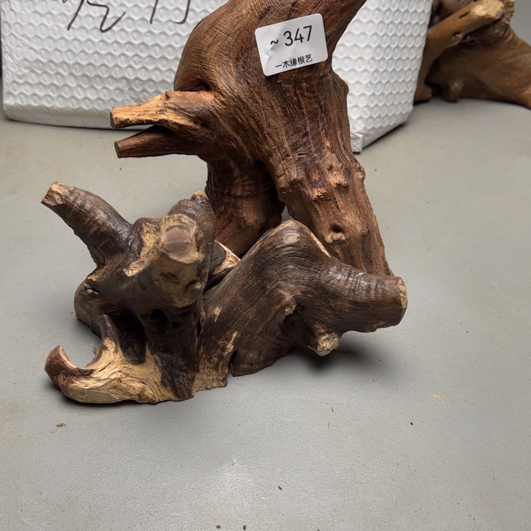 牵****无花朵           347