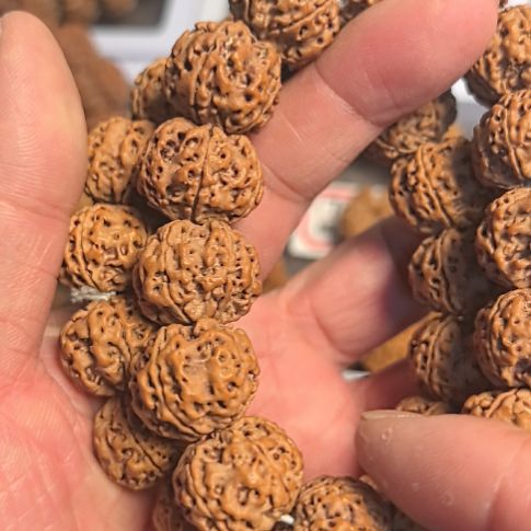 金刚菩提手串五星蜂王大金刚手串，原皮原色，精挑细选