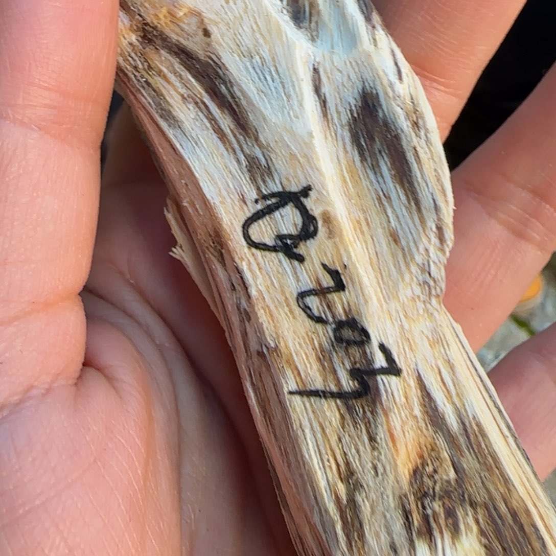 树脂制品203奇楠原木一个