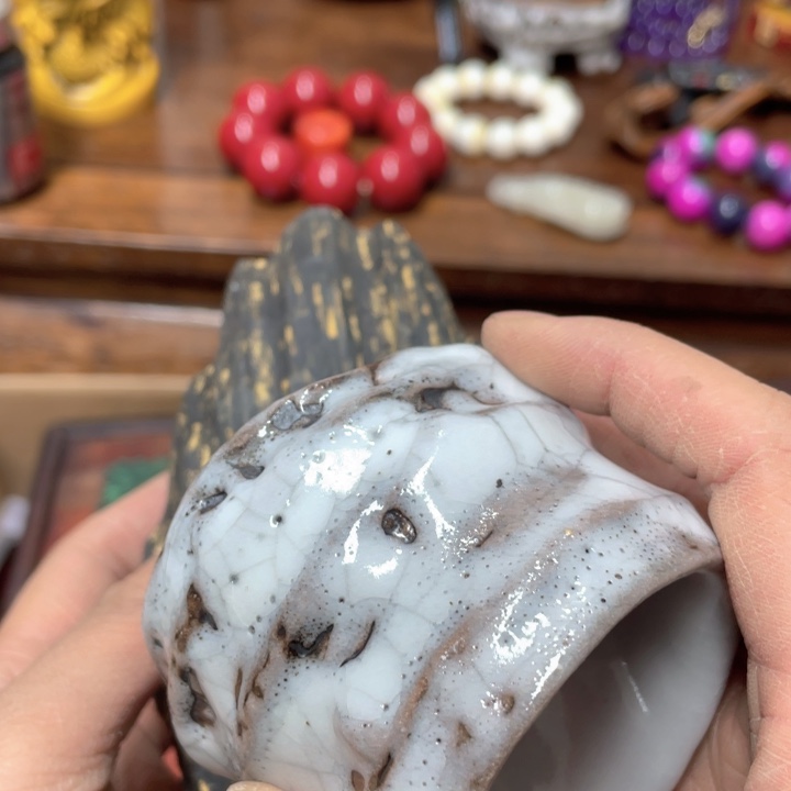 我也是很喜欢这个节目了我